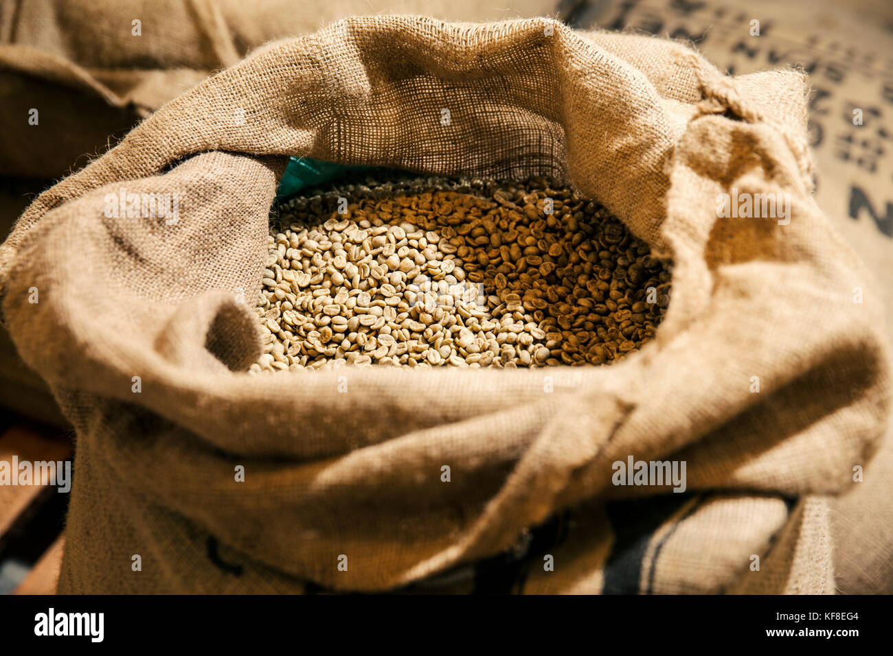 Belize, Punta Gorda, Toledo, entspannen Sie sich in der Bohne in die Tasse Werkstatt, wo Sie die Kaffeepflanze tour du teilnehmen, und der Prozess, in dem dargestellt werden. Stockfoto