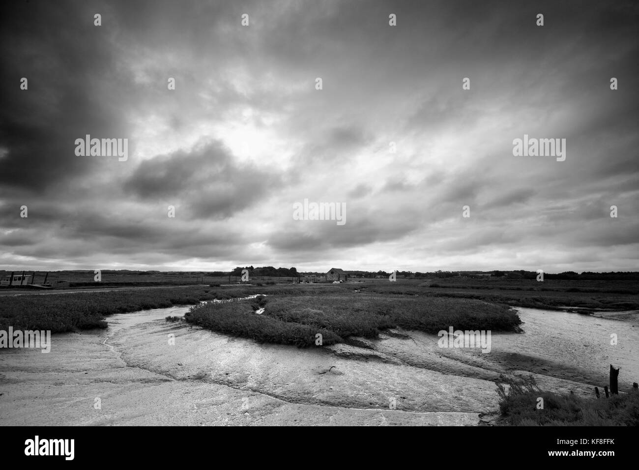 Saladares an thornham an der nördlichen Küste von Norfolk. Stockfoto