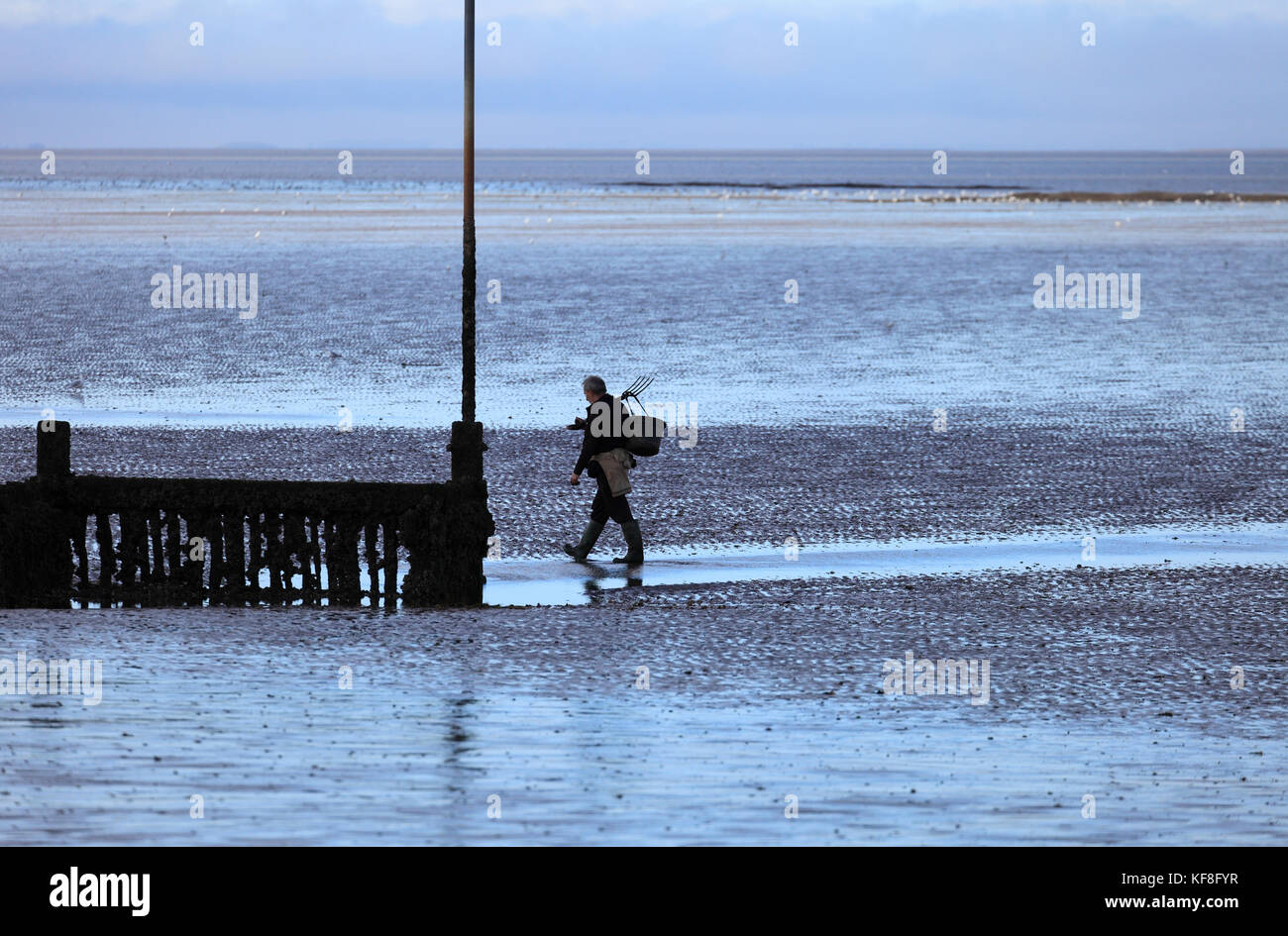 Mann zu Fuß am Strand entlang nach Graben für Köder Zum Angeln. Stockfoto