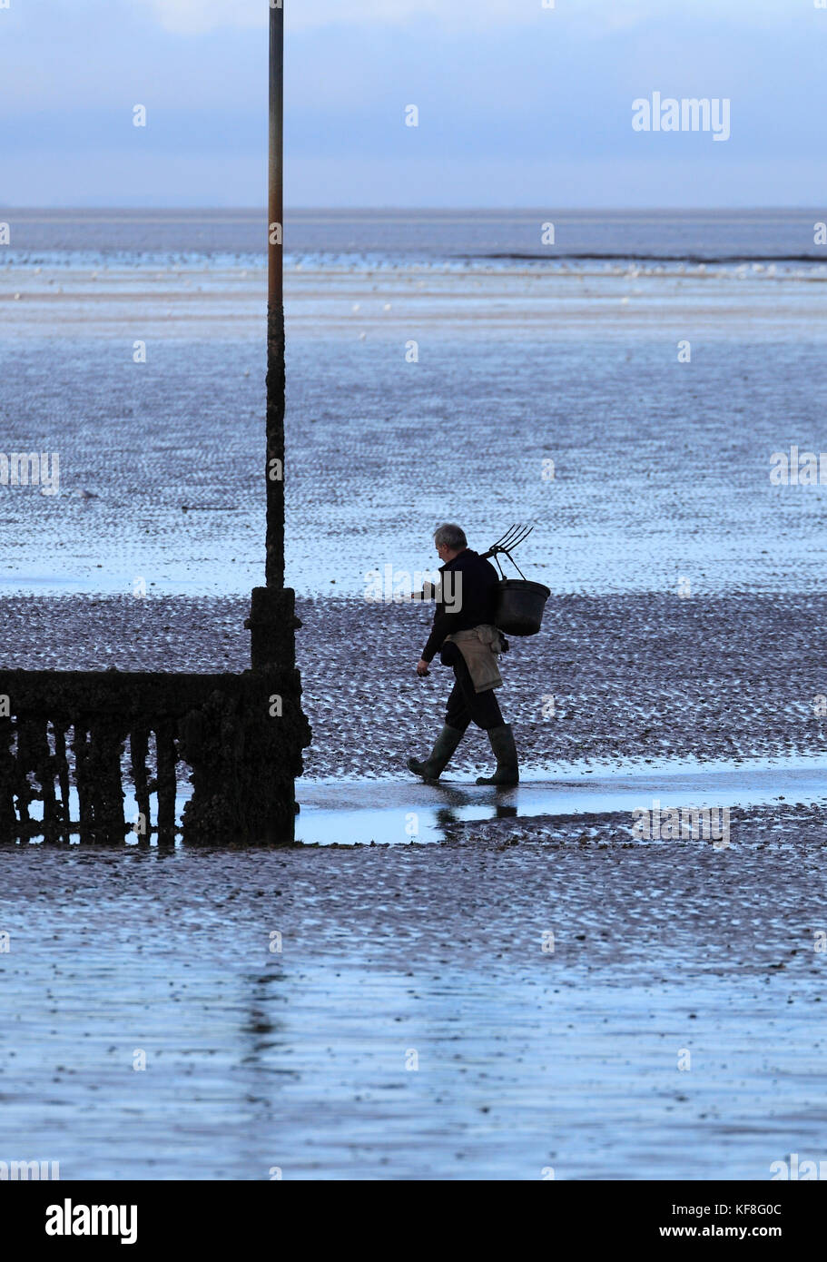 Mann zu Fuß am Strand entlang nach Graben für Köder Zum Angeln. Stockfoto