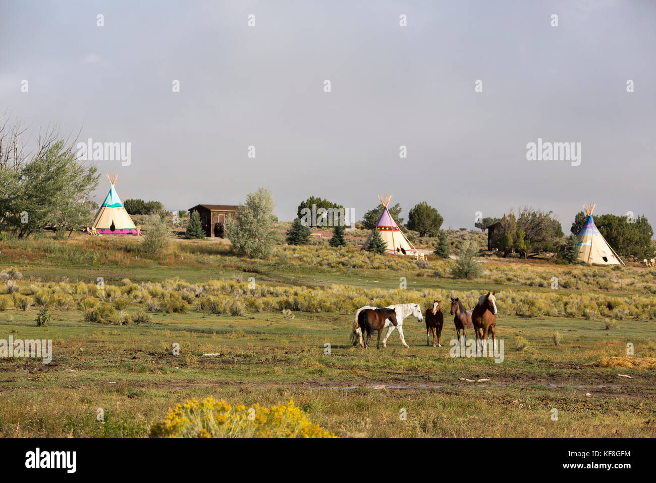 USA, Nevada, Brunnen, Mustang Monument, einer nachhaltigen Luxus Eco Resort und für wilde Pferde erhalten, die rettende Amerika Mustangs Stiftung Stockfoto