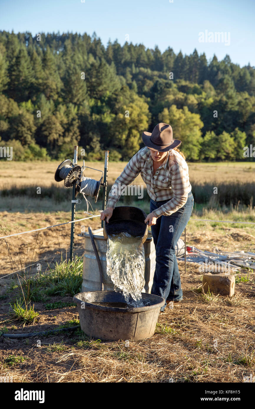 Usa, Oregon, Willamette Valley, Clare Carver füllt einen Wassertrog für einige Neugeborene Kälber auf ihrem Bauernhof, großer Tisch Betriebe Weingut, Gaston Stockfoto