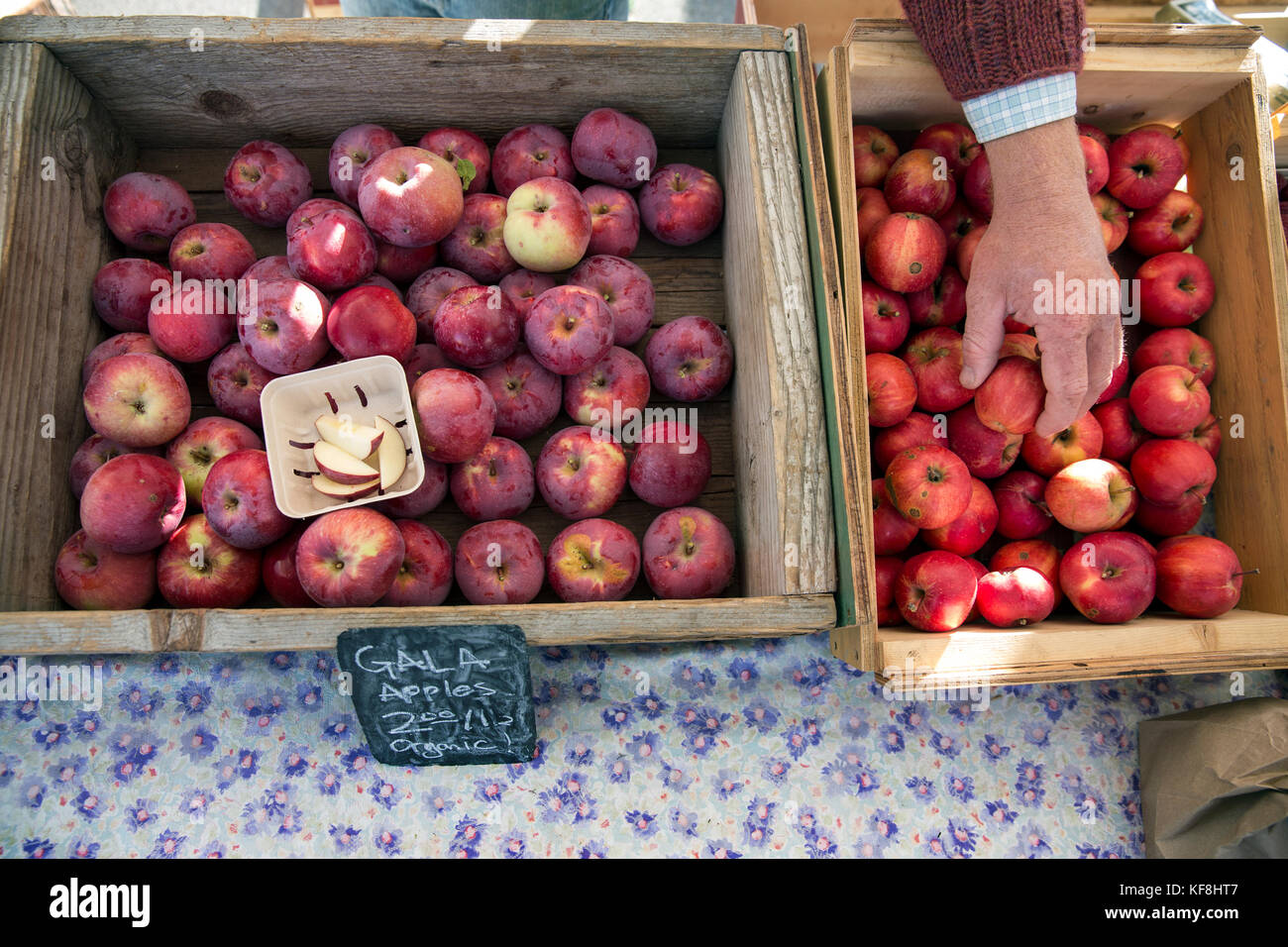 Usa, Oregon, Ashland, Gala Äpfel aus dem oberen Rogue organics Farm sind für Verkauf an den rogue valley Winzer und Kunsthandwerker Markt Stockfoto