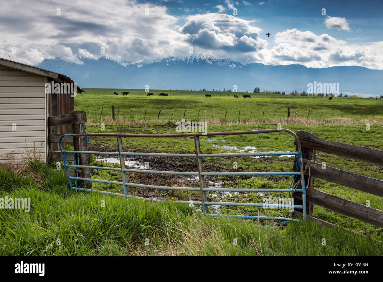 Usa, Oregon, Enterprise, die snyer Ranch im Nordosten von Ohio, in Richtung der Eagle cap Wildnis und der Wallowa Mountains suchen, Wallowa - Whitman nati Stockfoto