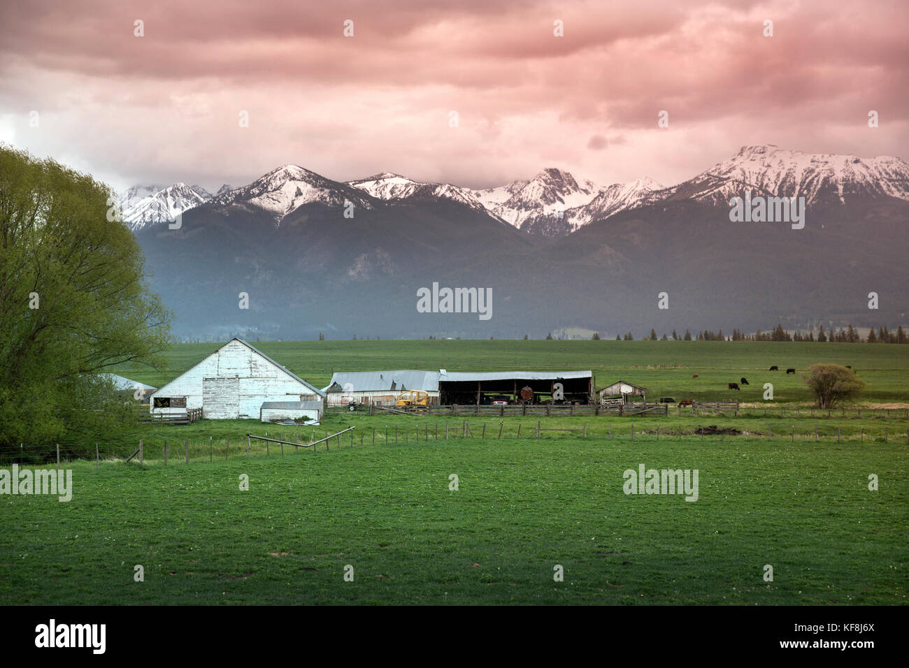 Usa, Oregon, Enterprise, die snyer Ranch im Nordosten von Ohio, in Richtung der Eagle cap Wildnis und der Wallowa Mountains suchen, Wallowa - Whitman nati Stockfoto