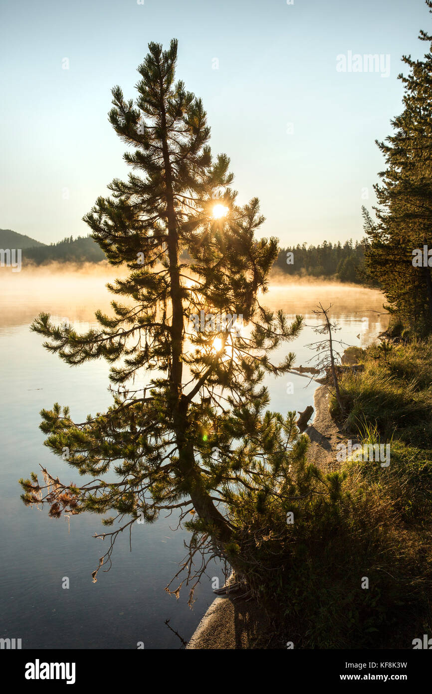 USA, Oregon, Paulina Lake, Brown Cannon, der Morgennebel vor der Küste des Paulina Lake Stockfoto