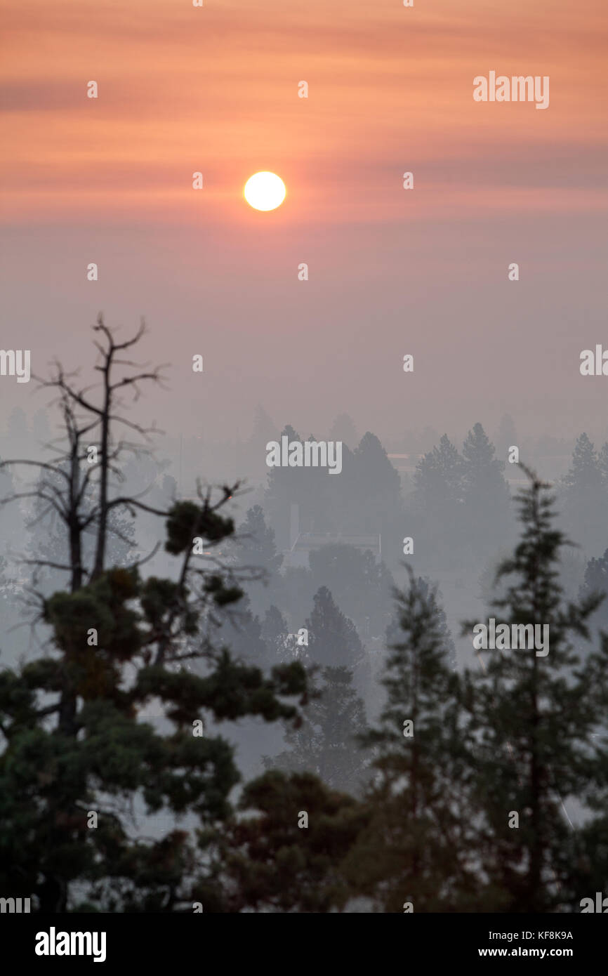 USA, Oregon, Bend, Blick durch den Rauch der Baumspitzen bei Sonnenuntergang Stockfoto
