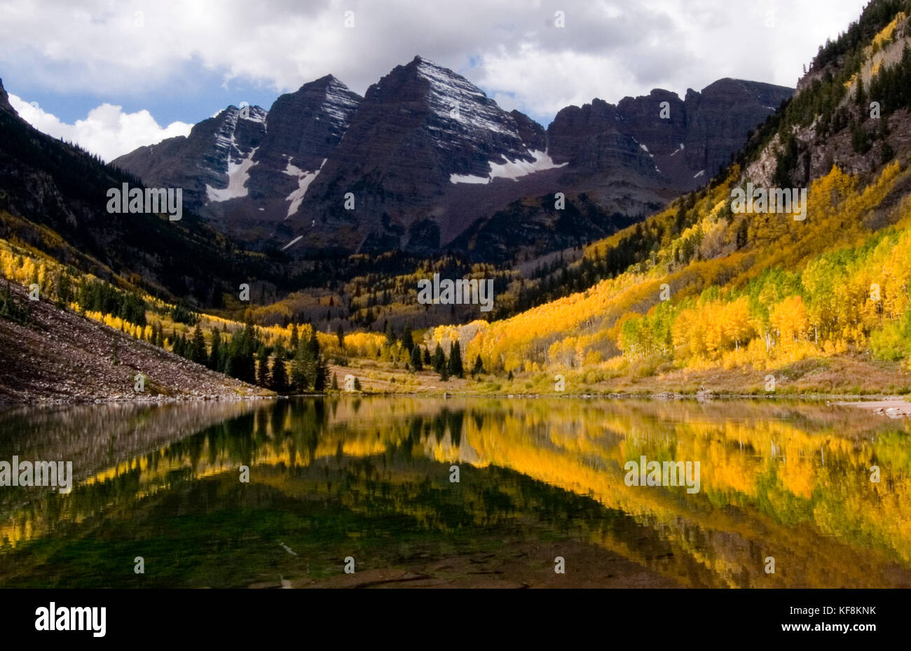 Kastanienbraune Glocken in der Nähe von ASPEN IM HERBST MIT GELBEN ESPEN Stockfoto