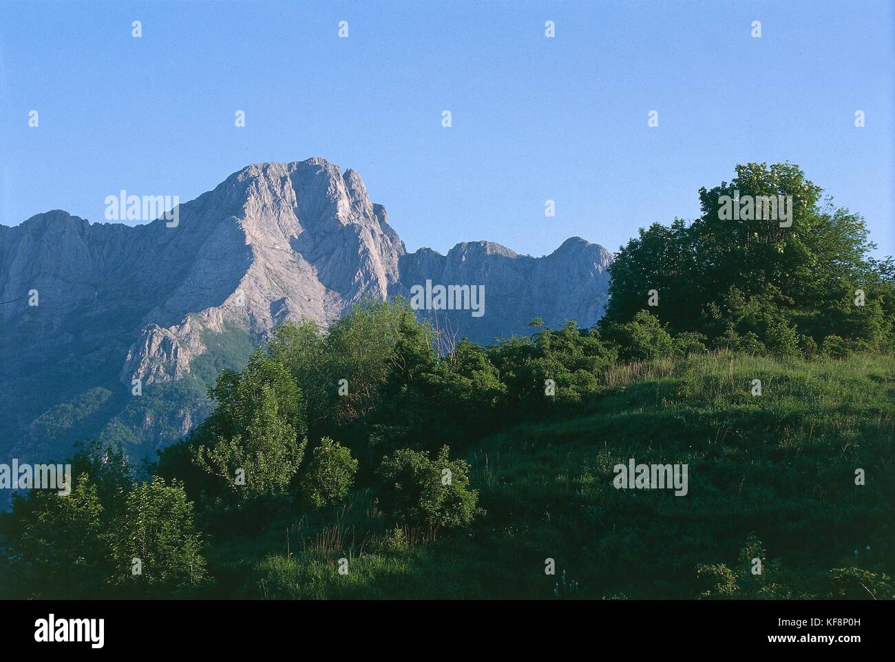 Toskana, den regionalen Park der Apuanischen Alpen, einer Gruppe von panie, pania della Croce. Stockfoto