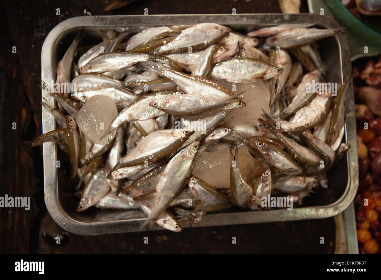 Vietnam, Hanoi, Fisch, der für den Verkauf am Chau Long Markt Stockfoto