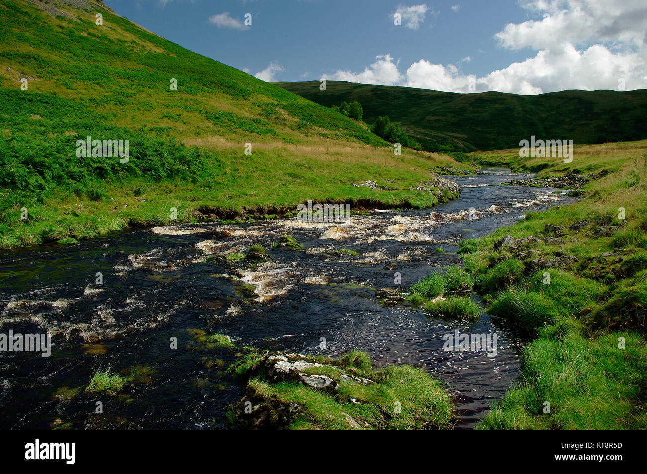Coquetdale, northumberland Stockfoto