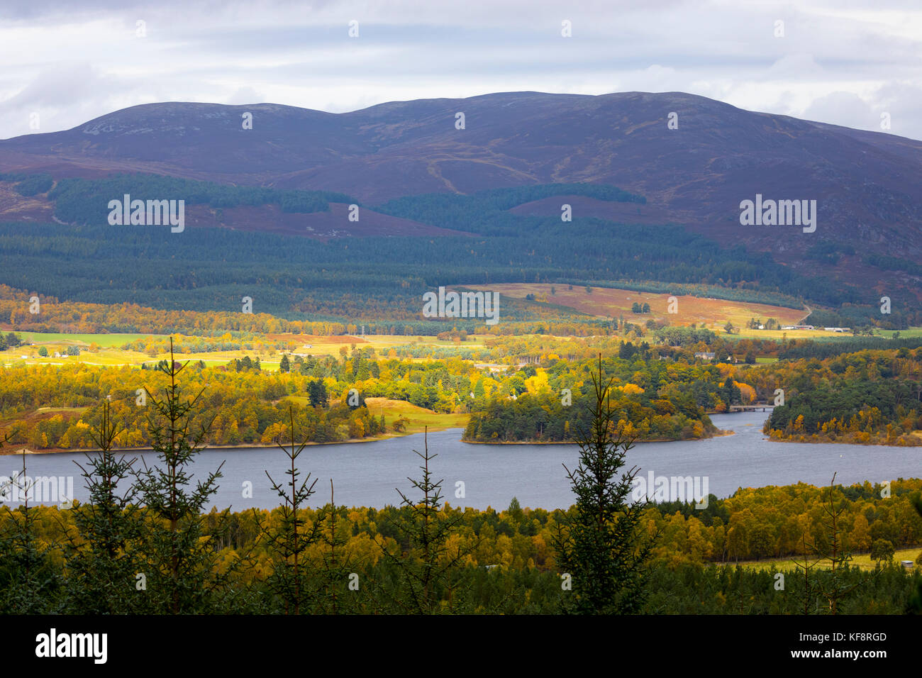 Den River Spey fließt in Loch insh in der Nähe der Ortschaft kincraig in voller Farben des Herbstes mit dem Hochland von geal Mor in der Ferne Stockfoto