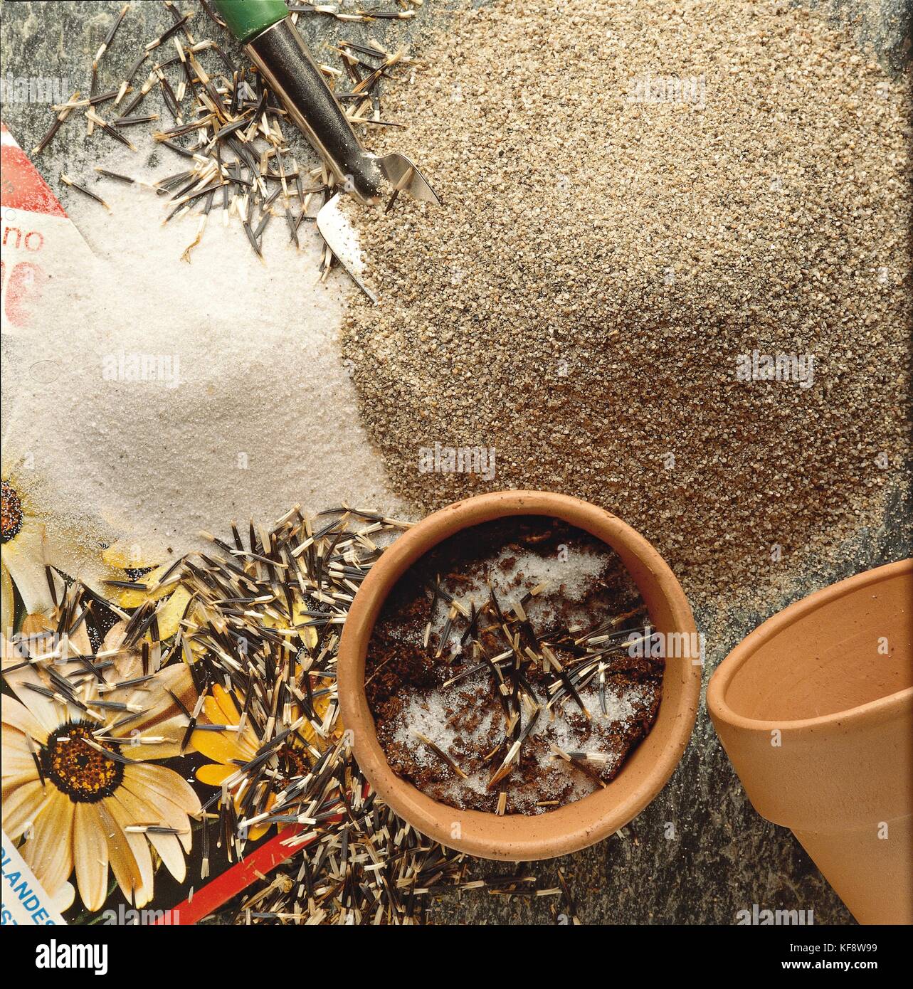 Gartenarbeit, weißen Sand River saure und Typ Stockfoto