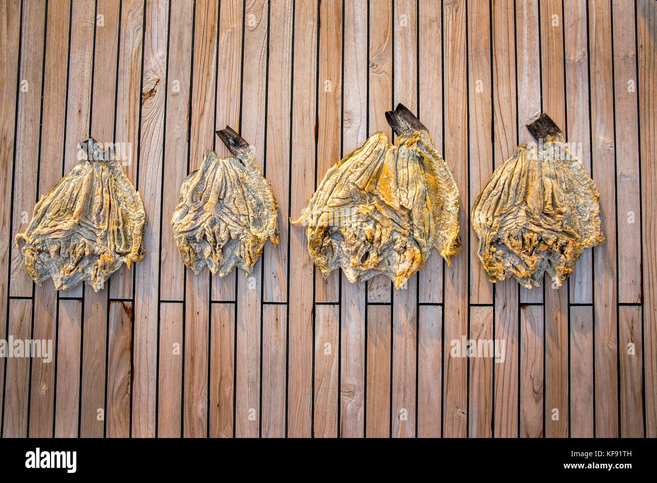 Galapagos, Ecuador, Fisch trocknet auf dem Deck des Bootes Stockfoto
