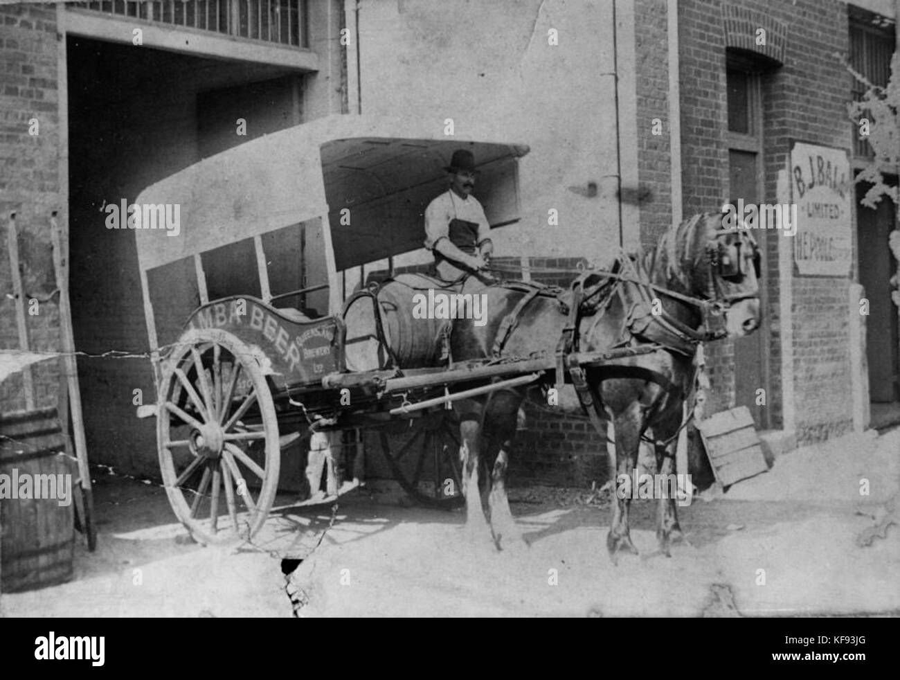 Dieses Bild zeigt das gezapfte Pferd Warwick Lass, das an der Tür der Queensland Brewery steht. Es beleuchtet die Rolle von Pferden in industriellen Umgebungen während des späten 19. Und frühen 20. Jahrhunderts. Stockfoto Dieses Bild zeigt das gezapfte Pferd Warwick Lass, das an der Tür der Queensland Brewery steht. Es beleuchtet die Rolle von Pferden in industriellen Umgebungen während des späten 19. Und frühen 20. Jahrhunderts. Stockfoto