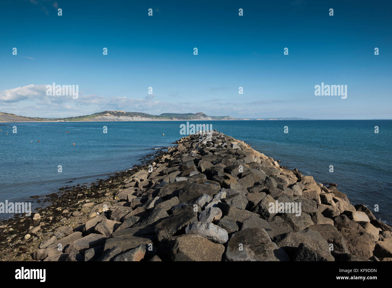 Lyme Regis de Küstenstadt in der Grafschaft Dorset Stockfoto