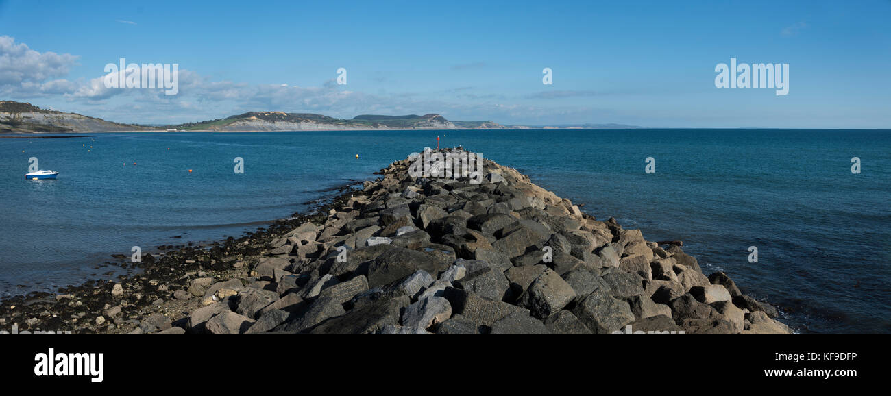 Lyme Regis de Küstenstadt in der Grafschaft Dorset Stockfoto
