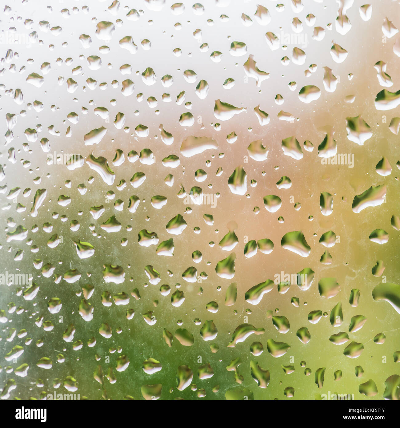Eine Makroaufnahme von einigen Regentropfen auf eine Glasscheibe. Stockfoto