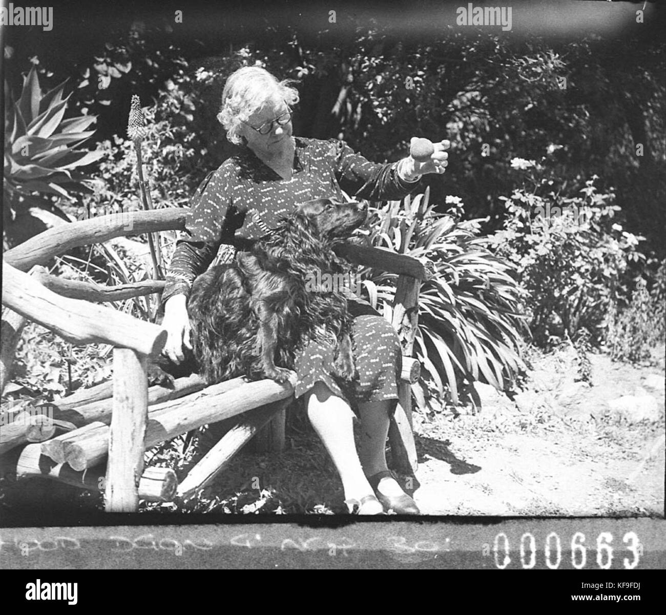 12370 ältere Frau auf Gartensitzplatz mit Spaniel hund für PS auf AdelaideWhyalla Reise genommen Stockfoto