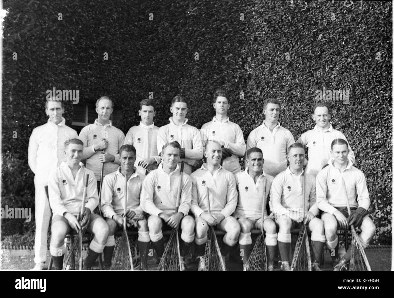 10095 NSW Lacrosse Team Waratah Abzeichen Stockfoto