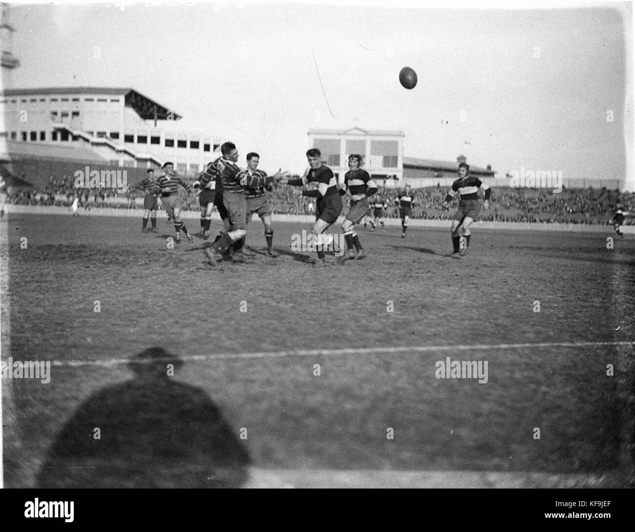 10079 Rugby League an der Sydney Cricket Ground Stockfoto