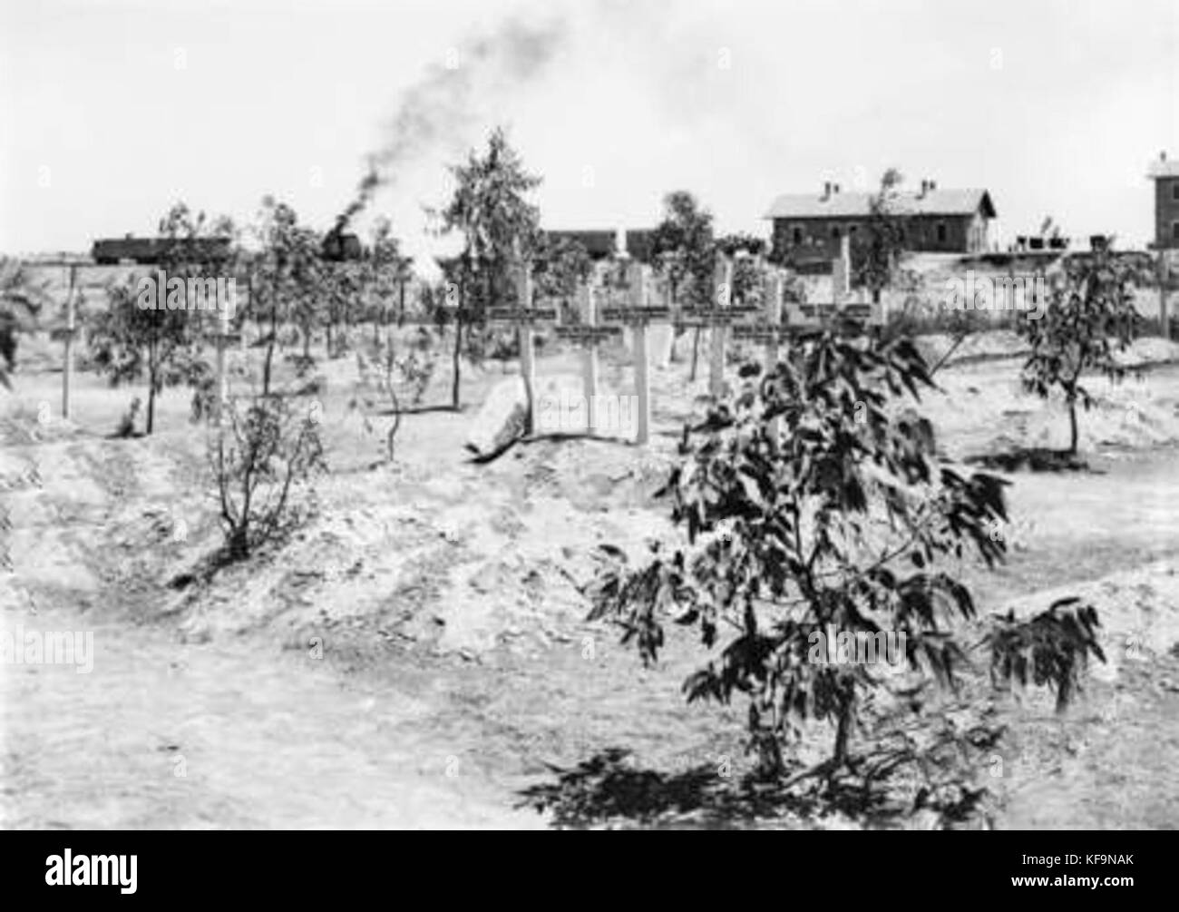 Australian Imperial Force Friedhof in Beerscheba AWM Foto B 02021 Stockfoto