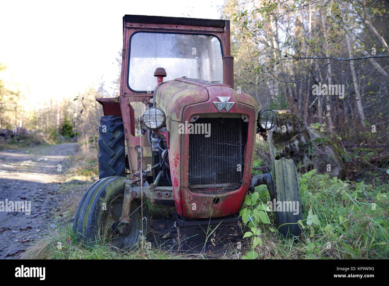 Alte Bauernhof Traktor von Massey Ferguson Stockfoto