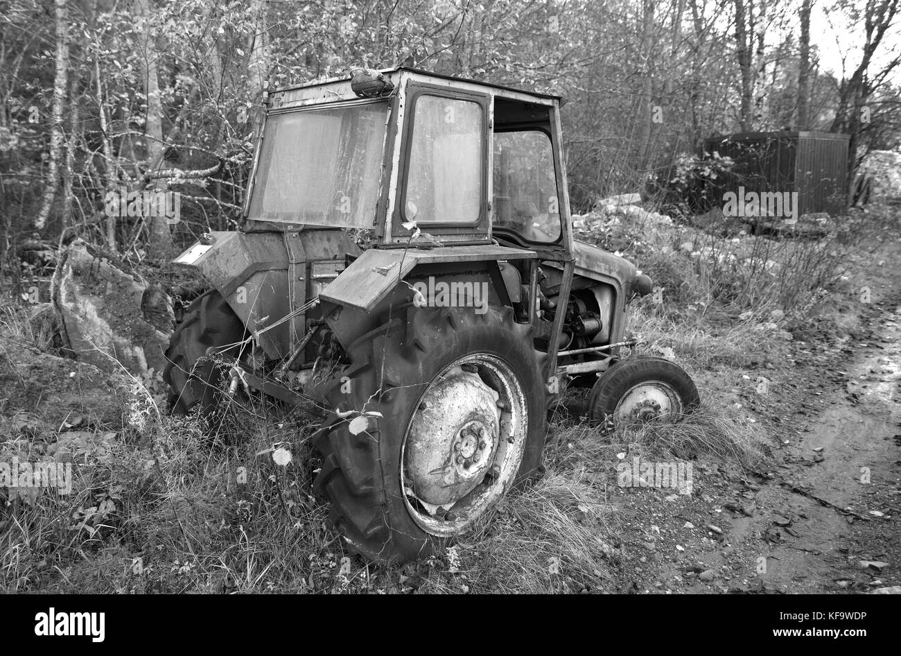 Alte Bauernhof Traktor von Massey Ferguson (schwarz und weiß) Stockfoto