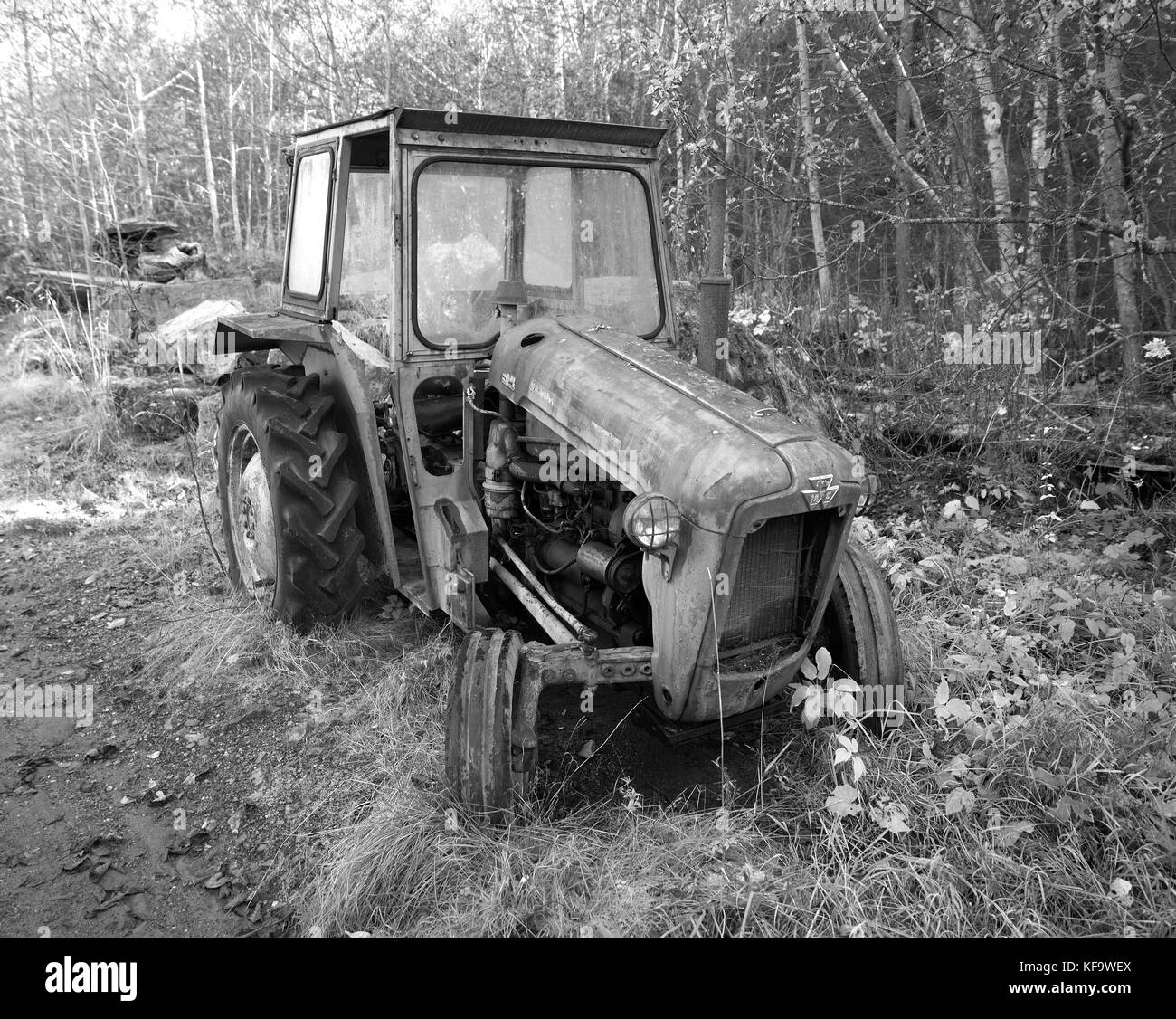 Alte Bauernhof Traktor von Massey Ferguson (schwarz und weiß) Stockfoto