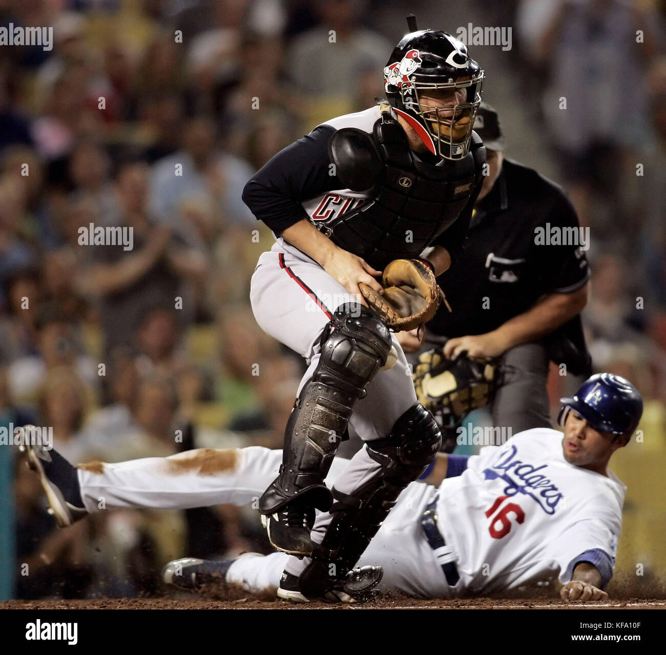 Andre Ethier von Los Angeles Dodgers, rechts, gleitet nach Hause, während der Cincinnati Reds-Fänger Jason LaRue am Mittwoch, den 30. August 2006, das zweite Inning eines Baseballspiels in Los Angeles erwartet. Ethier hat in einer Single von Greg Maddux gepunktet. Foto: Francis Specker Stockfoto