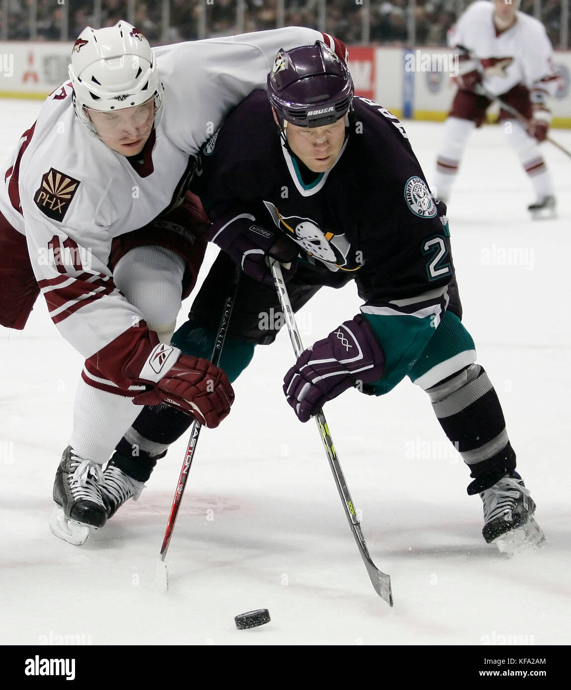 Phoenix Coyotes' Oleg Kvasha von Russland, Links, Kontrollen Anahiem Mighty Ducks' Todd Marchant in der ersten Periode eines NHL Hockey Spiel in Anaheim, Calif. am Sonntag, den 12. März 2006. Foto von Francis Specker Stockfoto