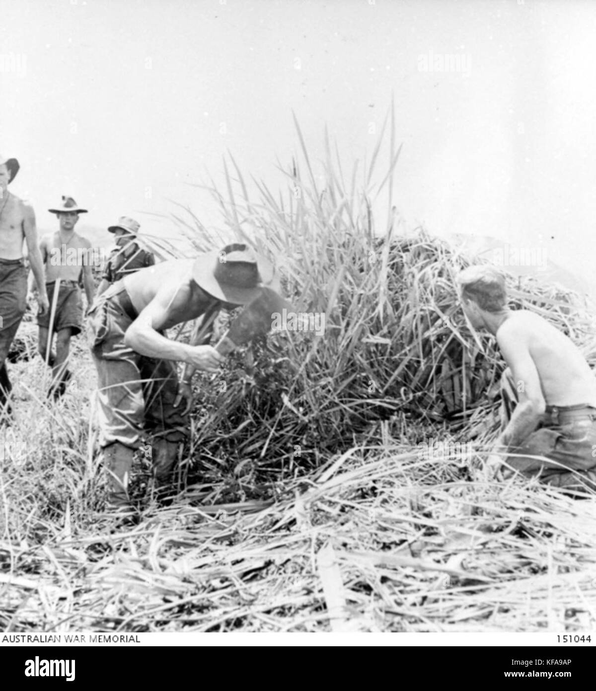 AWM 151044 clearing Gras und Obsticals aus dem Kokoda Landebahn Stockfoto