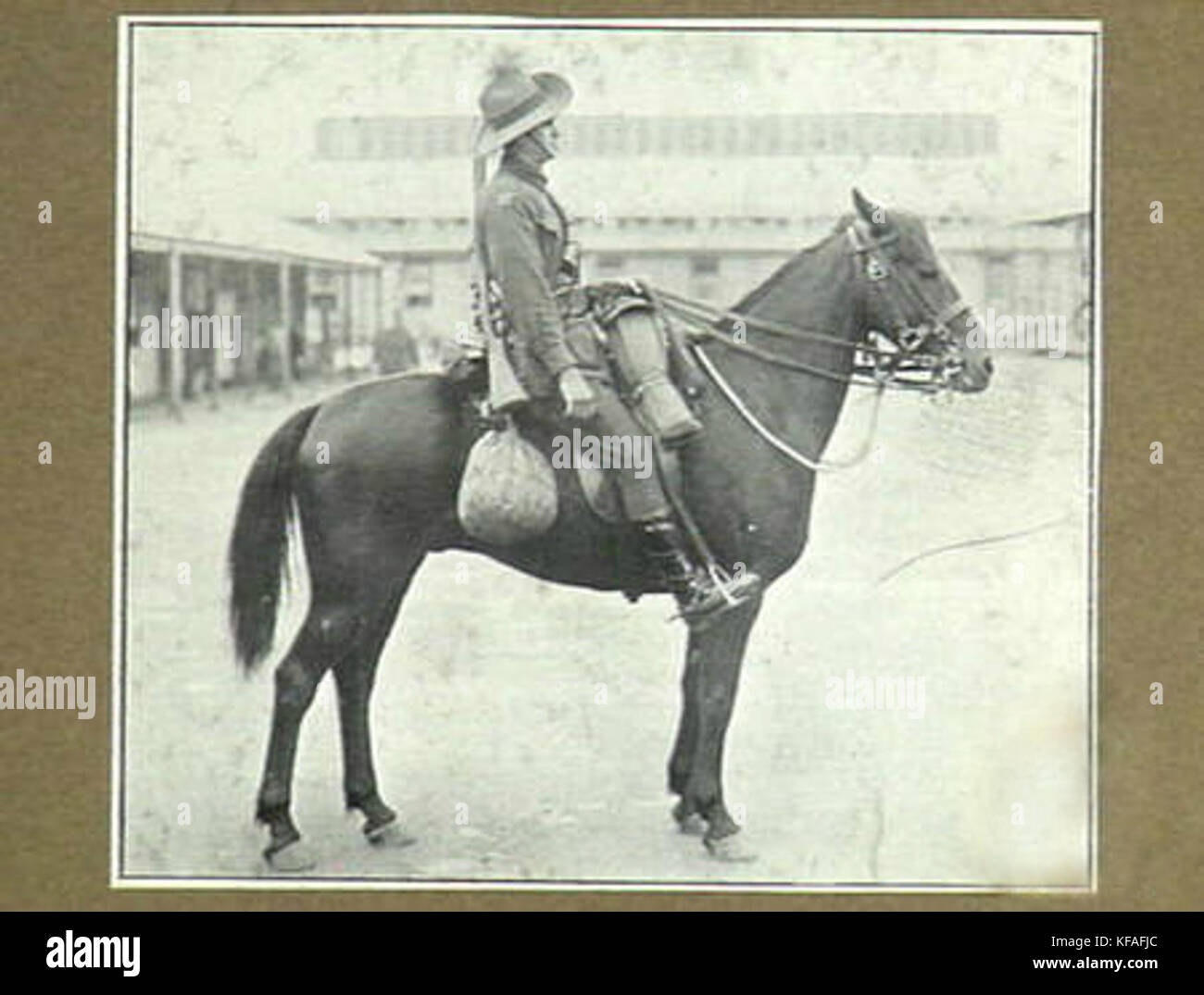 Dieses Bild zeigt einen australischen leichten Reiter, einen berittenen Soldaten, der für seine Rolle im Ersten Weltkrieg bekannt ist. Die leichten Reiter waren Teil der australischen Kavallerie und trugen maßgeblich zu militärischen Operationen im Nahen Osten und Gallipoli bei. Stockfoto