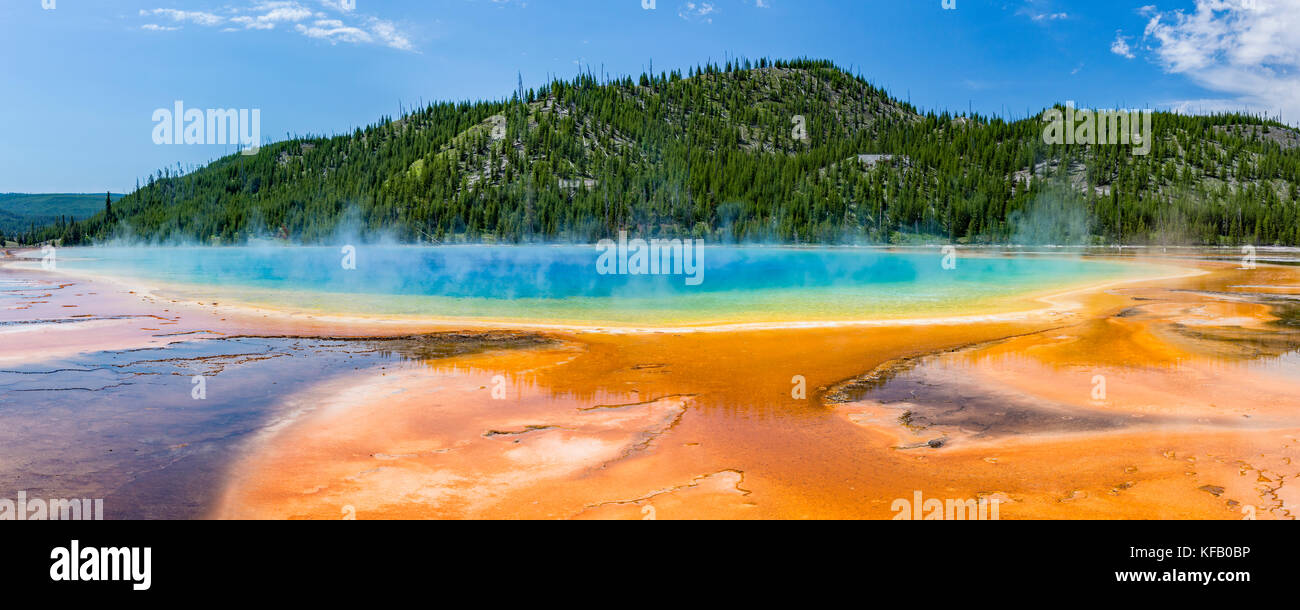 Terrassen Ventilator aus leuchtenden Farben des Grand Prismatic Spring, Yellowstone National Park, Wyoming. Stockfoto