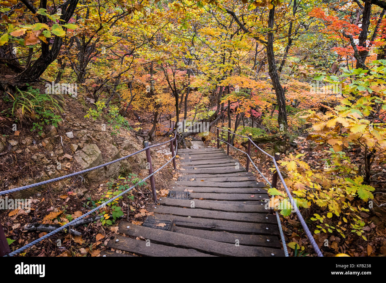 Herbst Landschaft in Seoraksan Nationalpark, Südkorea. Stockfoto