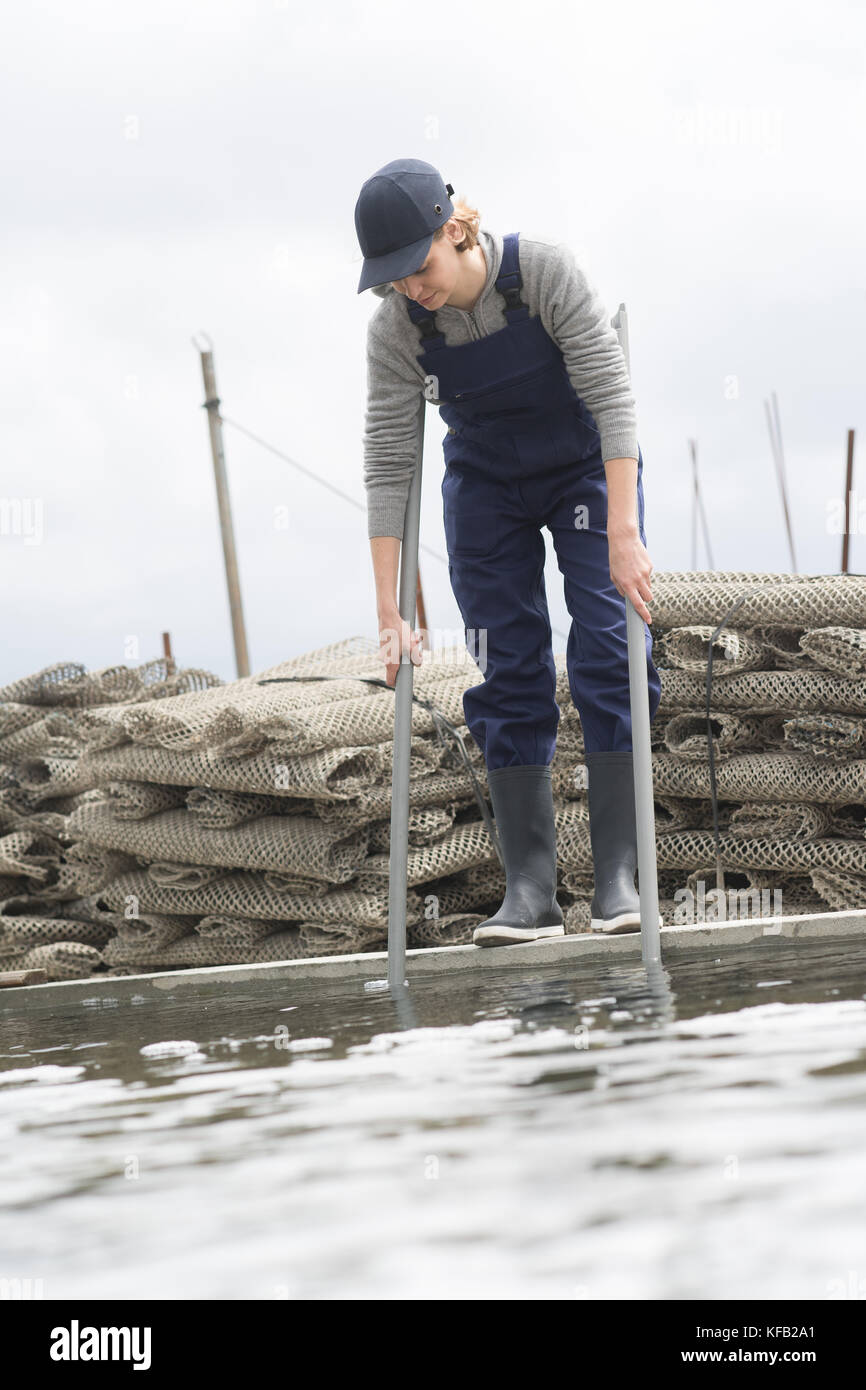 Arbeitnehmerin und Pool von Oyster Farm Stockfoto