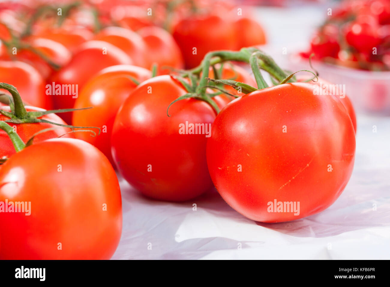 Nahaufnahme der leuchtend roten Rebsorten Tomaten zum Verkauf im Stall von Sineu Markt, Mallorca, Spanien Stockfoto