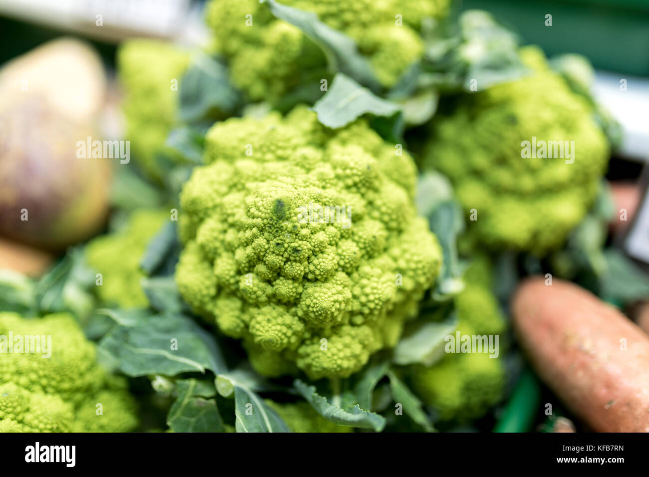 In der Nähe von Reifen und lebendigen Grün Romanesco Gemüse auf einem Markt in Yorkshire, UK Abschaltdruck Stockfoto