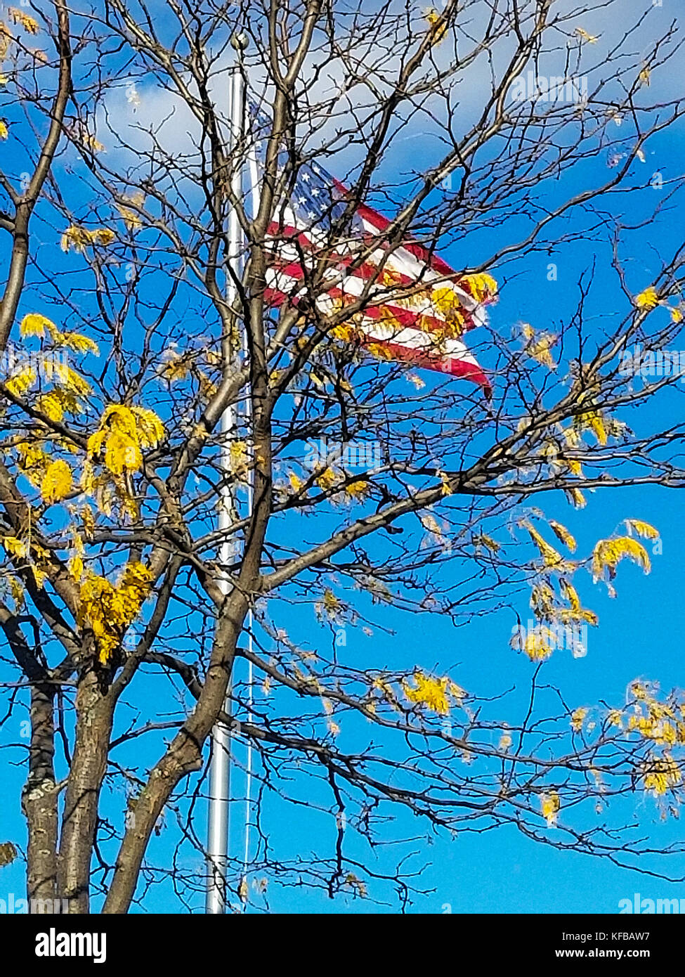 Amerikanische Flagge und Herbst Baum mit goldenen Blättern und blauen Himmel Stockfoto