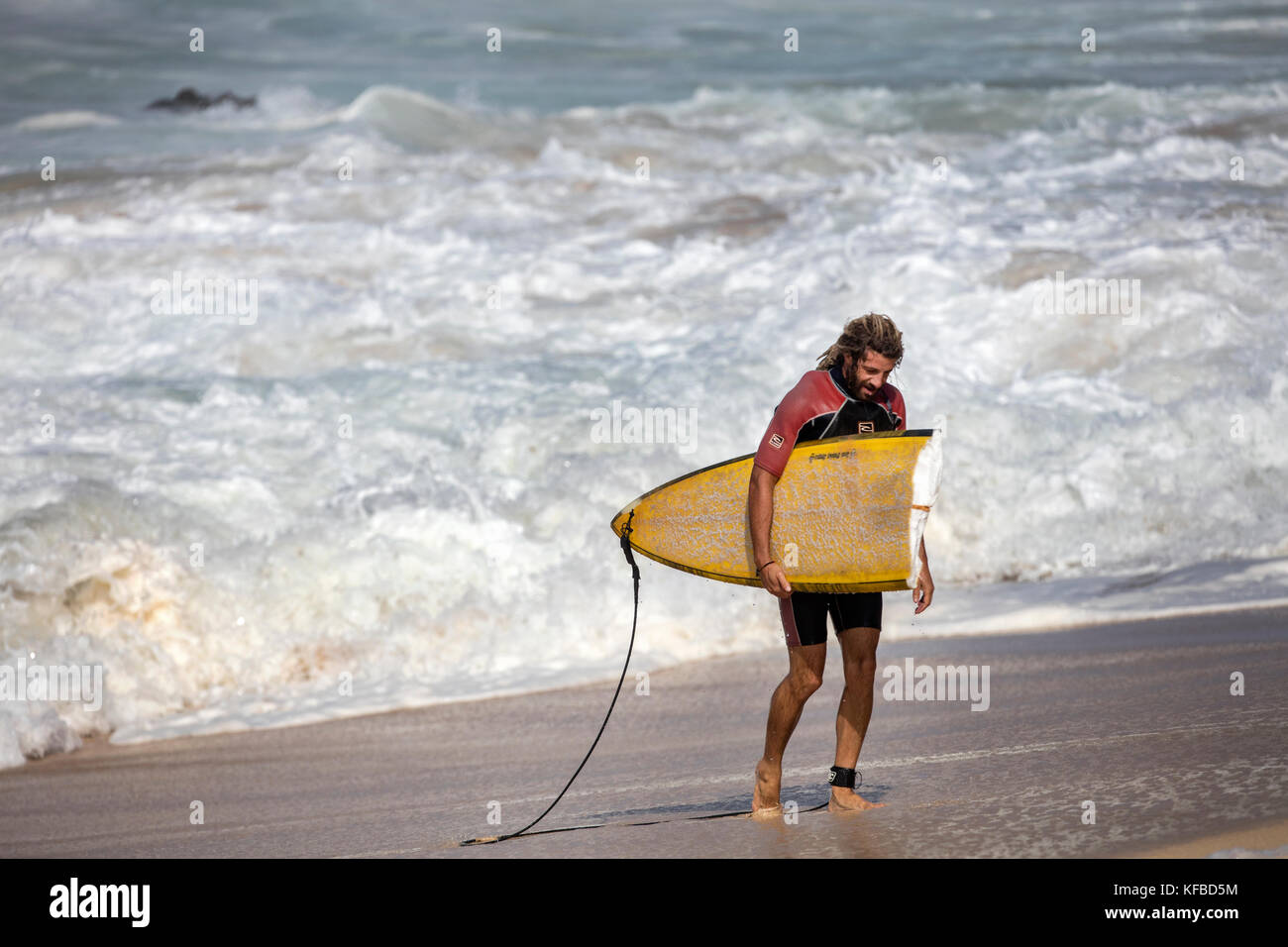 HAWAII, Oahu, North Shore, Surfer an Waimea Bay Stockfoto