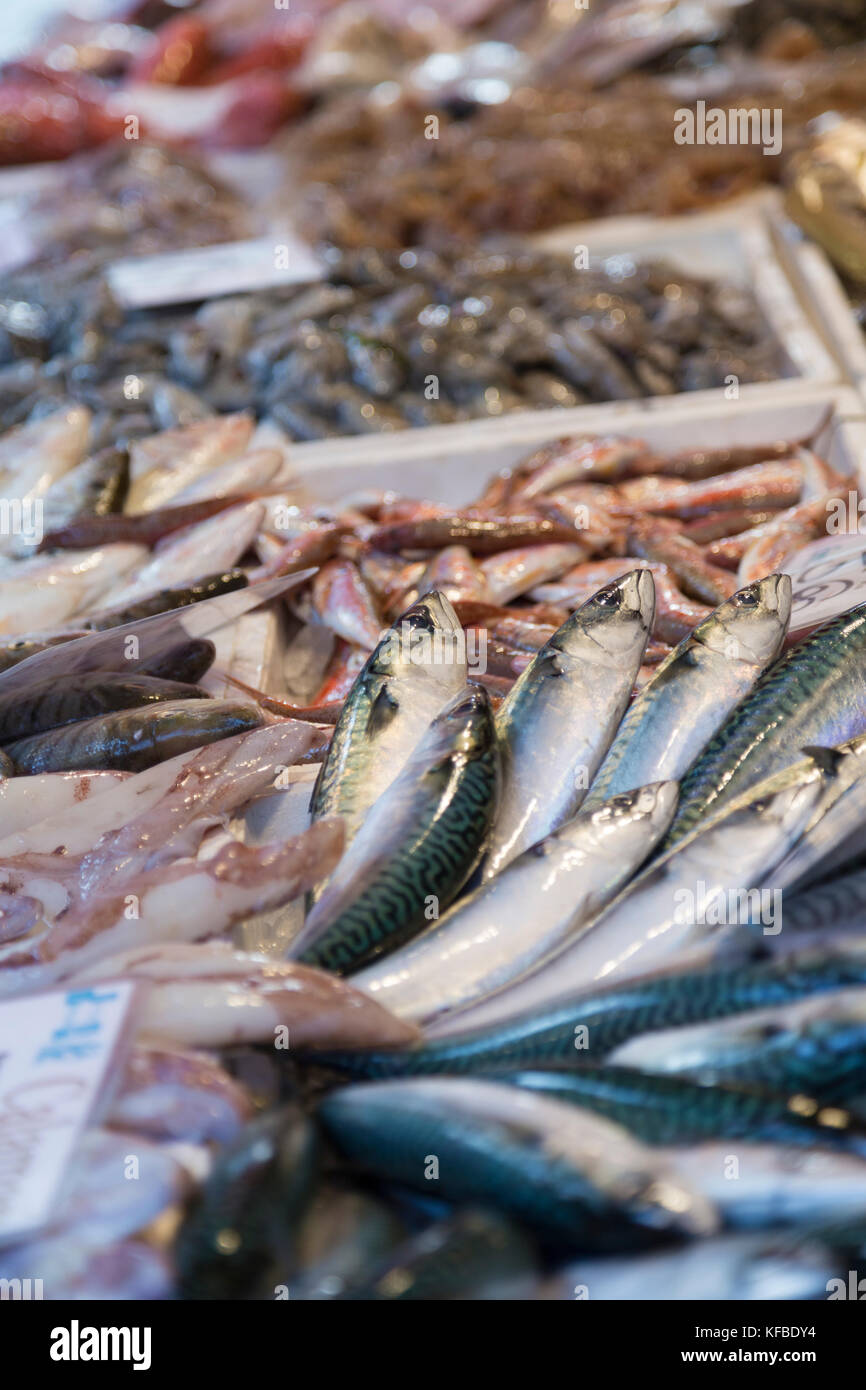 Italien, Venedig, frischen Fisch in der Rialto Markt abgewürgt. Stockfoto