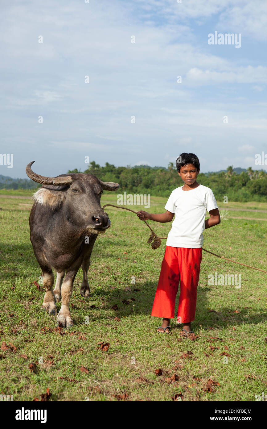 Philippinen, Palawan, El Nido, Bauernhof Junge mit seinem Büffel in der Stadt von El Nido in der Nähe des Flughafens Stockfoto