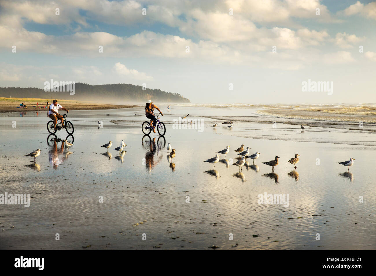 USA, Washington State, Long Beach Halbinsel, internationale Drachenfest, Walter und Erin Ellison Fahrt mit dem Fahrrad durch die Möwen am Strand ein Stockfoto