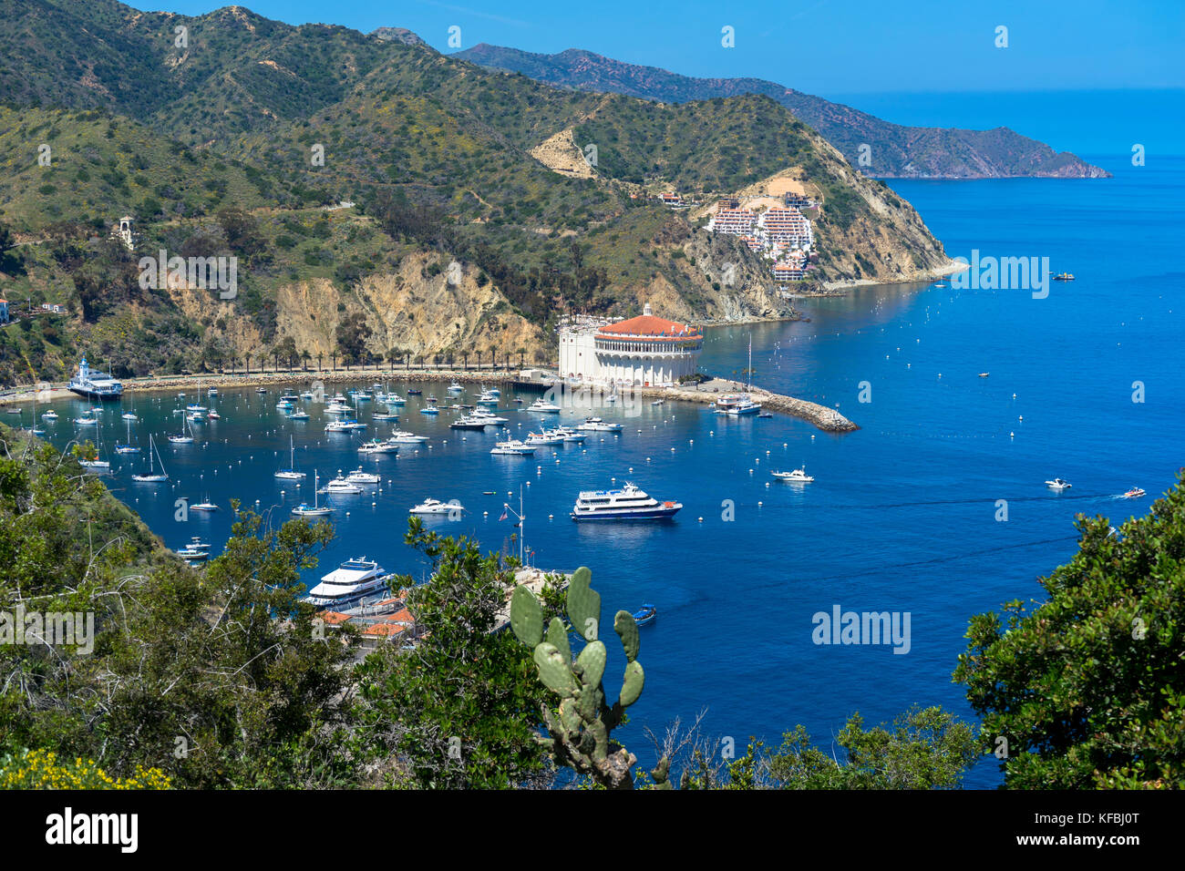 Blick über die in Avalon Bay verankerten Boote und die Küste auf Santa Catalina Island, Kalifornien, USA Stockfoto