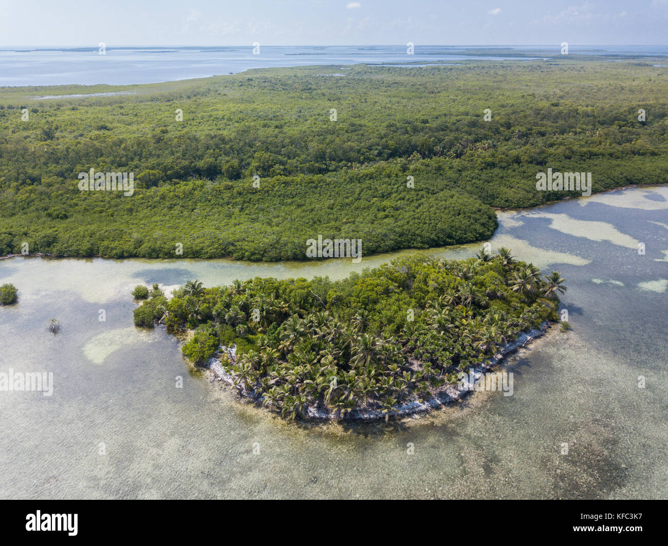 Eine Luftaufnahme von einer schönen Insel am Rande des turneffe Atoll vor der Küste von Belize. Dieses Gebiet der Karibik ist äußerst artenreichen. Stockfoto