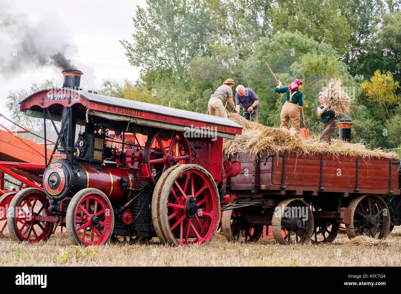 Historische methoden des dreschens -Fotos und -Bildmaterial in hoher