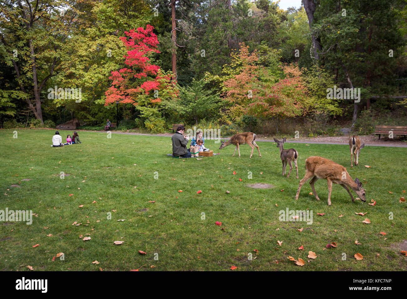 Usa, Oregon, Ashland, Familien genießen Sie ein Picknick und Wildtiere Lithia Park Stockfoto