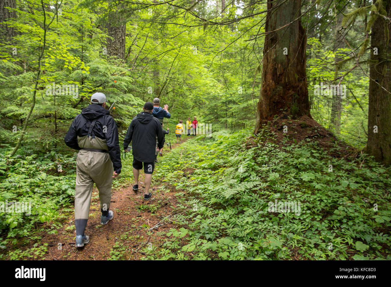 Usa, Oregon, Santiam River, braun Kanone, einer Gruppe von Väter und Söhne aus der Rubrik Angeln an der Santiam River zu gehen Stockfoto