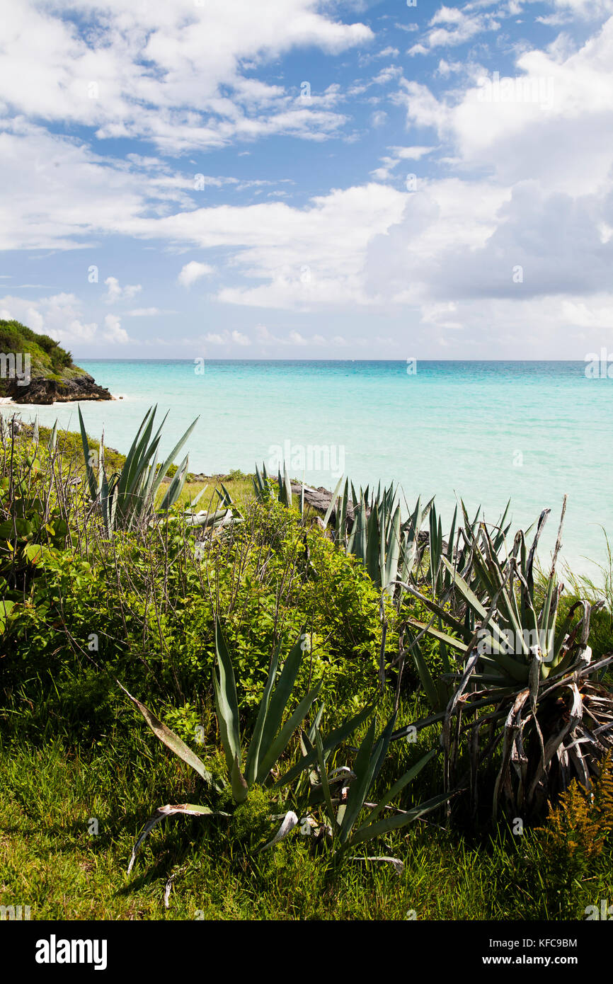 BERMUDA. Southampton Parish. Ein Blick auf das Wasser am Munro Beach Cottages. Stockfoto