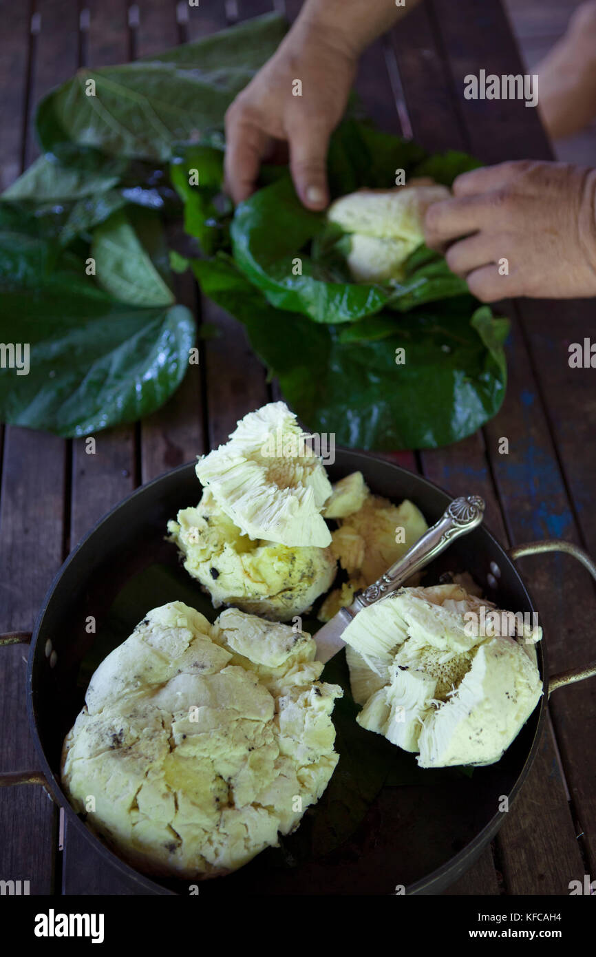 Französisch Polynesien Moorea. Vorbereitung Brotfrucht zu kochen. Stockfoto